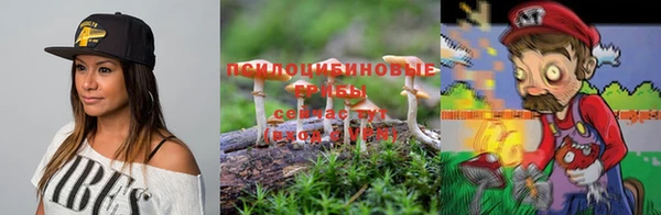 стаф Остров
