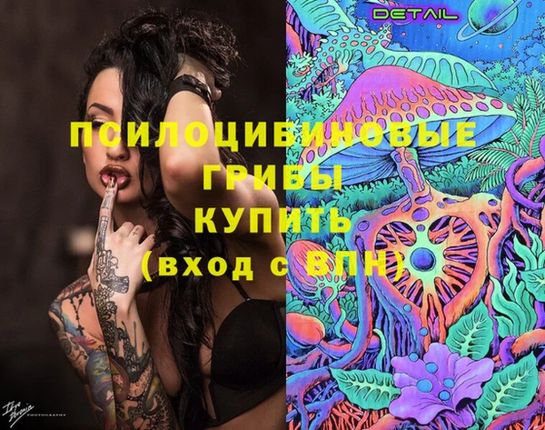 прущие крисы Пересвет